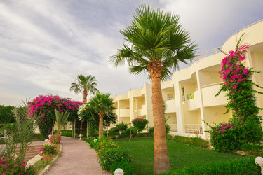 Similar image 7802661