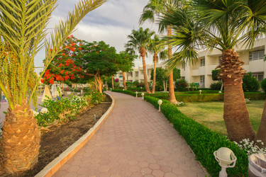 Similar image 7802666