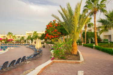 Similar image 7802667