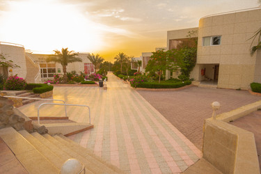 Similar image 7802670