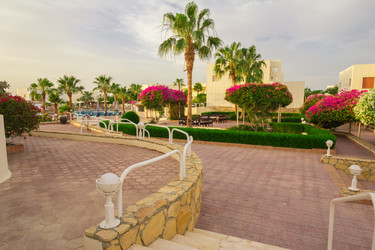 Similar image 7802671