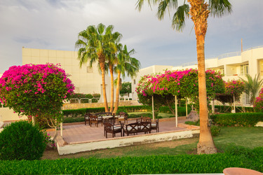 Similar image 7802675