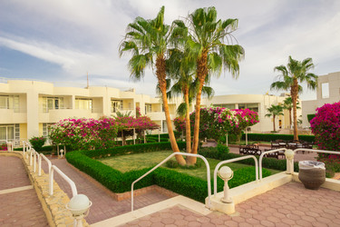 Similar image 7802676