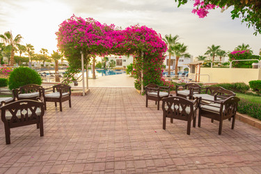 Similar image 7802677