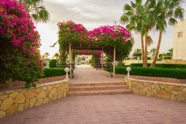 Similar image 7802678