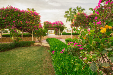 Similar image 7802680