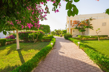 Similar image 7802683