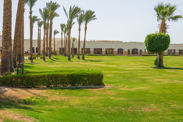 Similar image 7802689