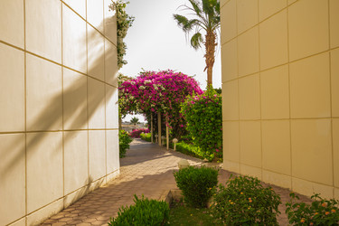 Similar image 7802690