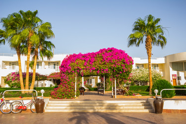 Similar image 7802703