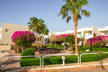 Similar image 7802705