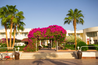 Similar image 7802711