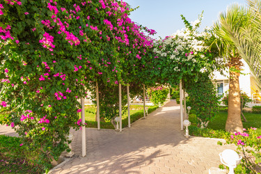 Similar image 7802720