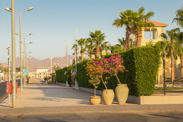 Similar image 7802725