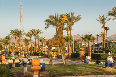 Similar image 7802729