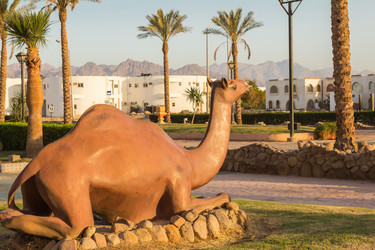 Similar image 7802754