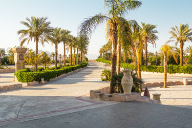 Similar image 7802763