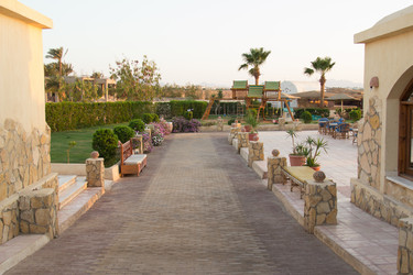 Similar image 7802769