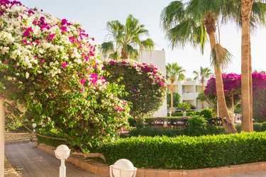 Similar image 7802776