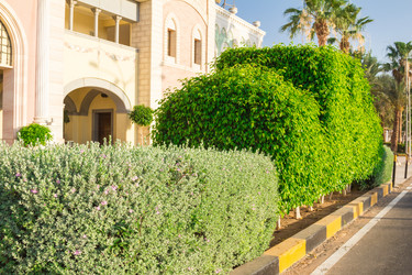 Similar image 7802777