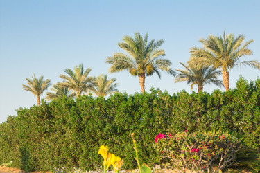 Similar image 7802780