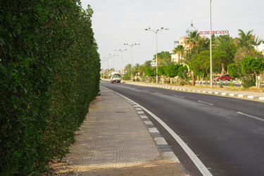 Similar image 7802784