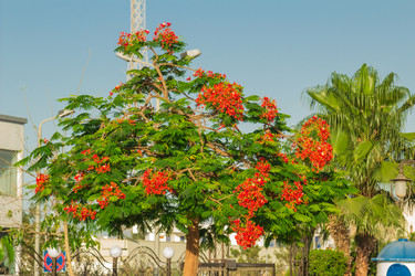 Similar image 7802790