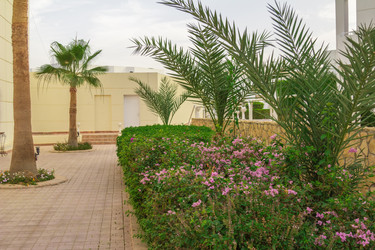 Similar image 7802794