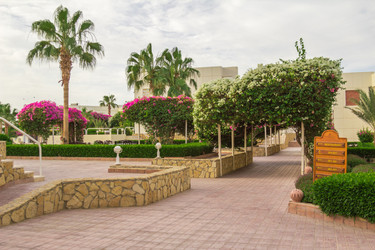 Similar image 7802795