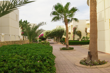 Similar image 7802798