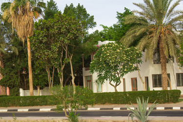 Similar image 7802799