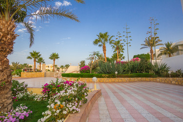 Similar image 7802804