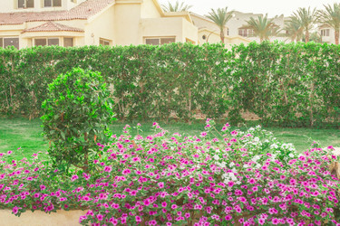 Similar image 7802822