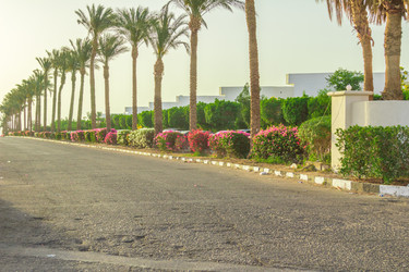 Similar image 7802824