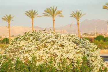 Similar image 7802825