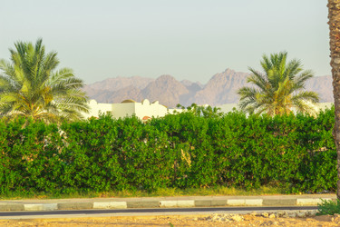 Similar image 7802827