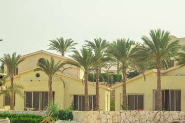 Similar image 7802831