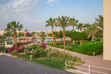 Similar image 7802833