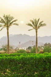 Similar image 7802835