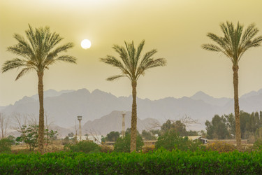 Similar image 7802837