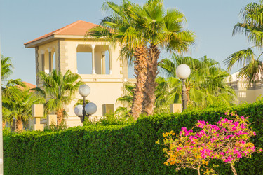 Similar image 7802842