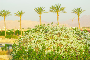 Similar image 7802843