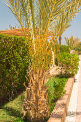 Similar image 7802845