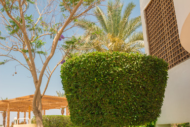 Similar image 7802846