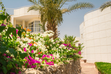 Similar image 7802847