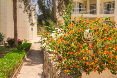 Similar image 7802848