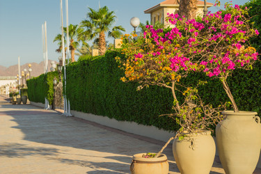 Similar image 7802853