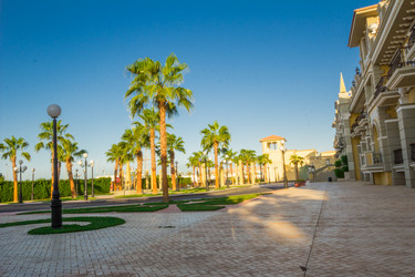 Similar image 7802855