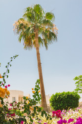 Similar image 7802861