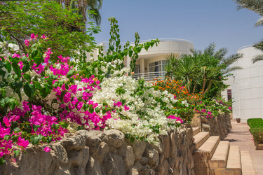 Similar image 7802862